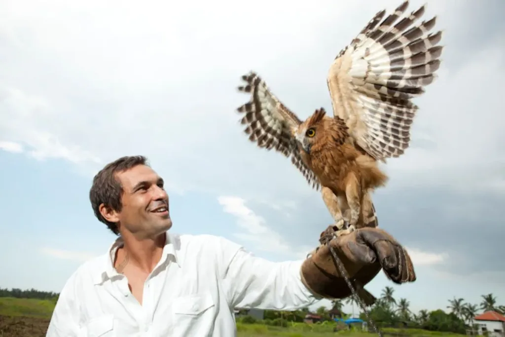 Alasan Mengapa Bali Bird Park Wajib Masuk List Liburan Kamu result