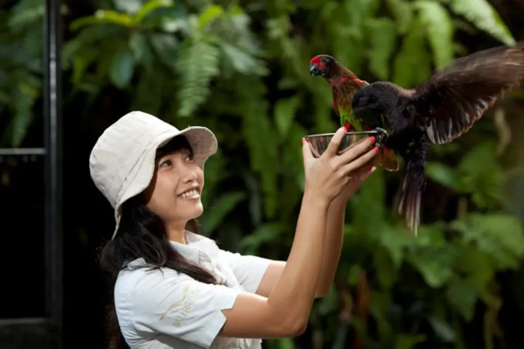 Bali Bird Park result