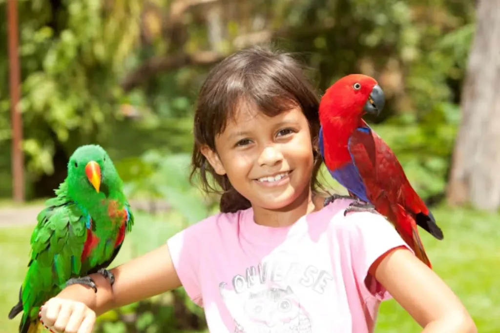 Bali Bird Park result