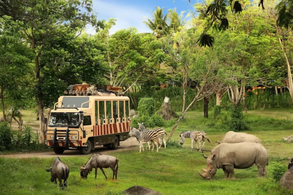 Bali Safari & Marine Park result