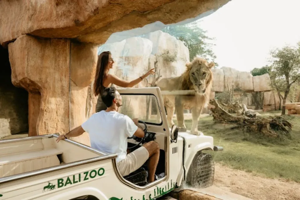 Bali Zoo result