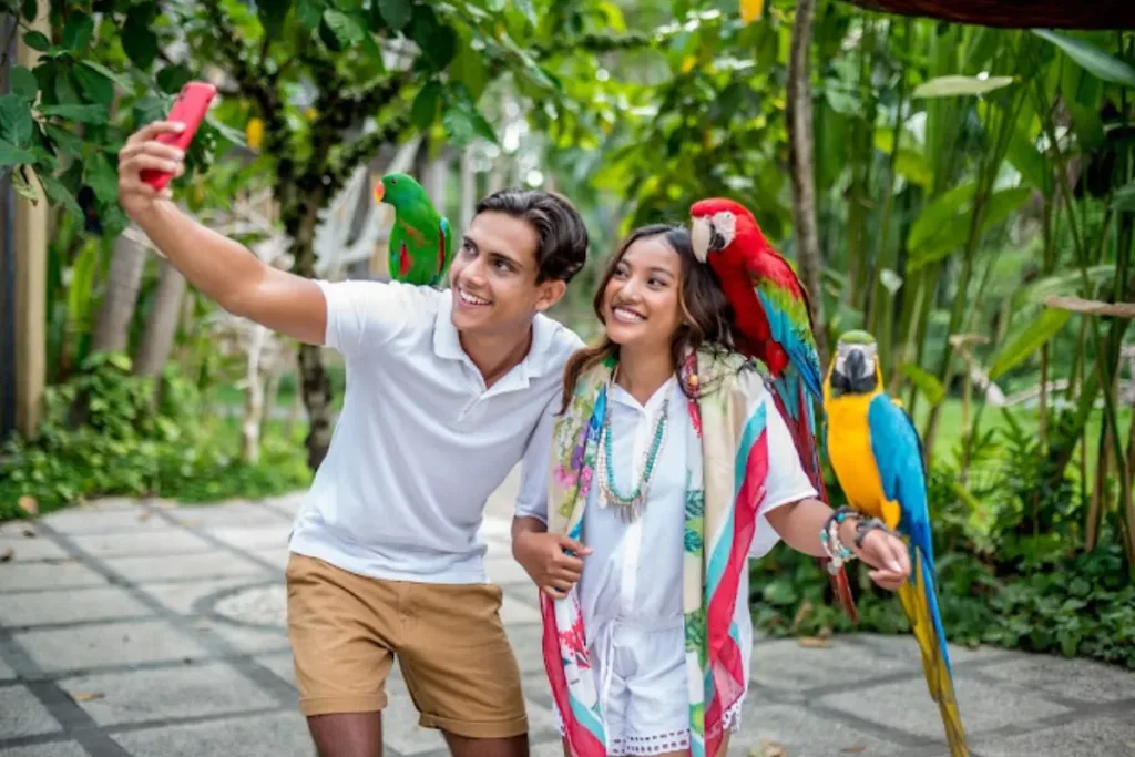 Bali bird Park