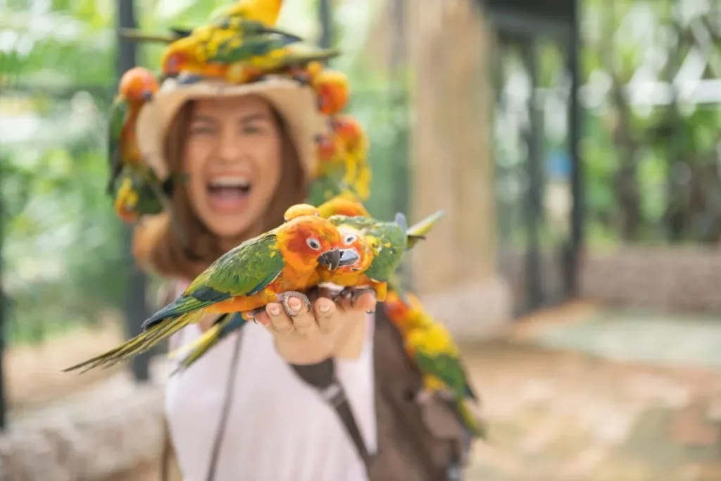 Lihat Burung Endemik Indonesia Lebih Dekat di Bali Bird Park result