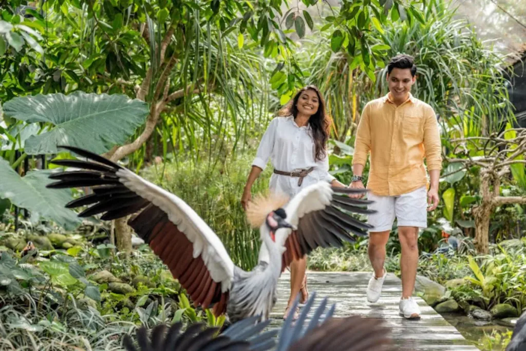 Sekilas tentang Bali Bird Park result