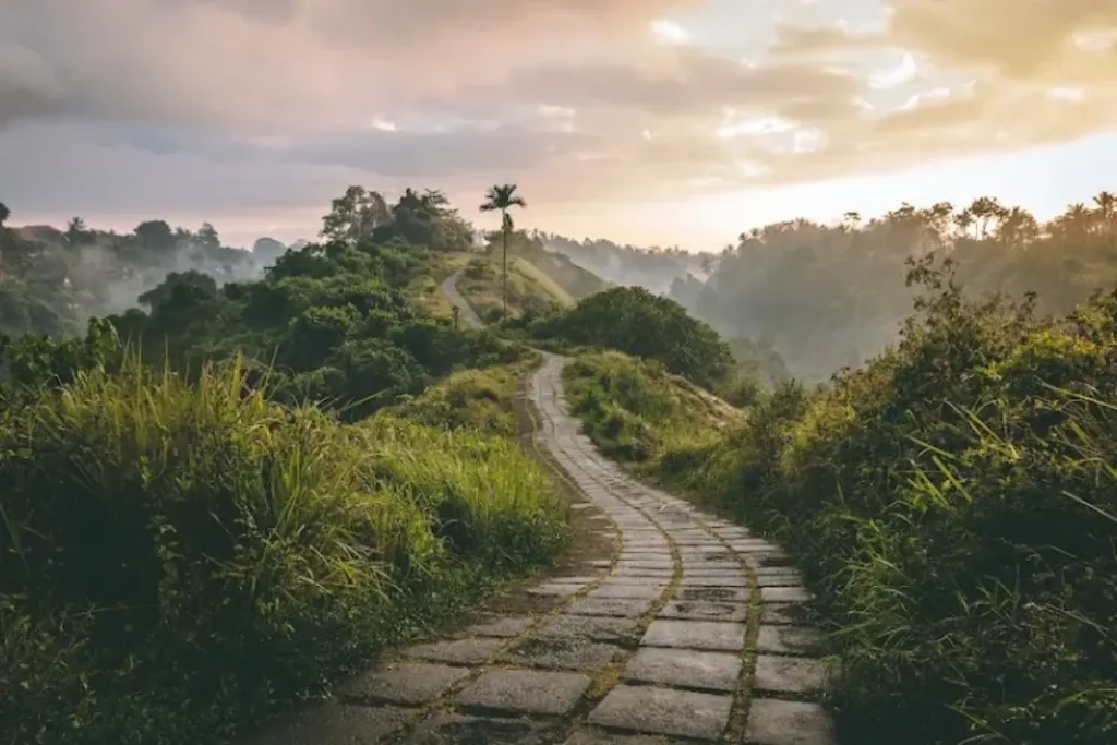 Bukit Campuhan result