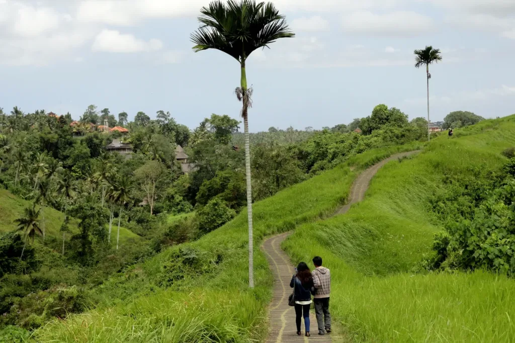 Bukit Campuhan result