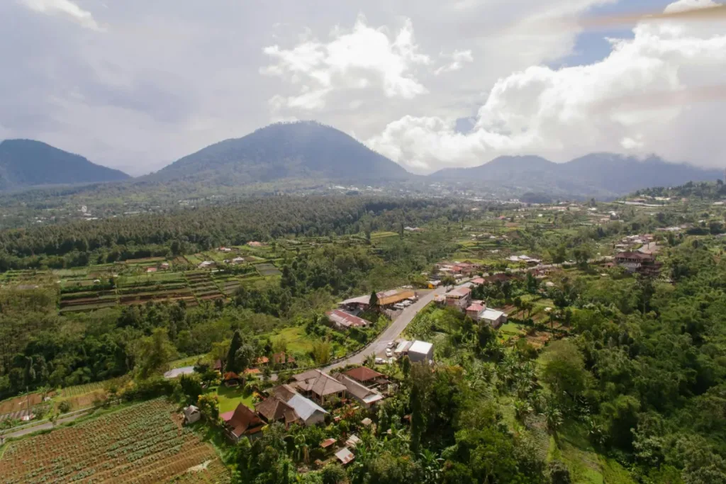 Nature in Bali result