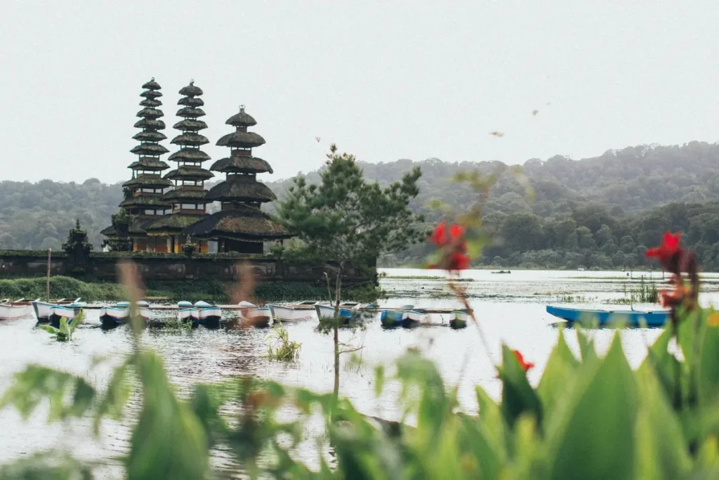 Things to do in Bali result