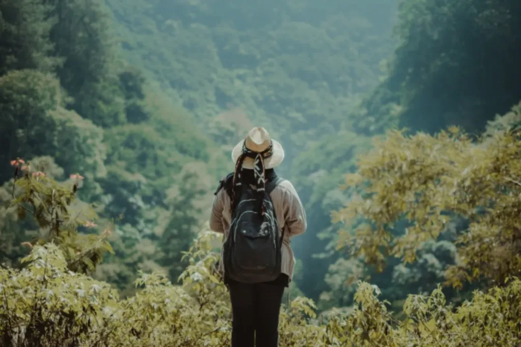 wisata Bali yang wajib dikunjungi, Gunung Batur result