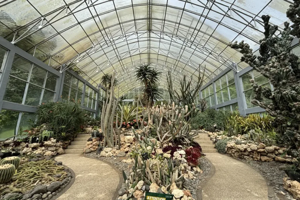 wisata alam Bali selain pantai, Kebun Raya Bali result