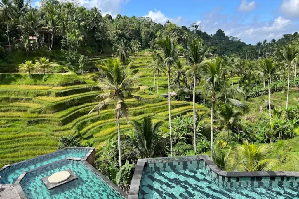 wisata alam Bali selain pantai, Tegallalang Rice Terrace result