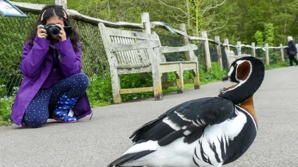 Bali Bird Park result