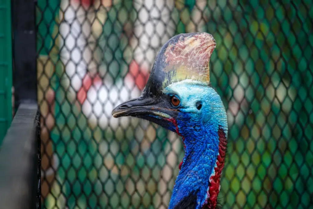 How Travelers Can Support Bird Conservation result