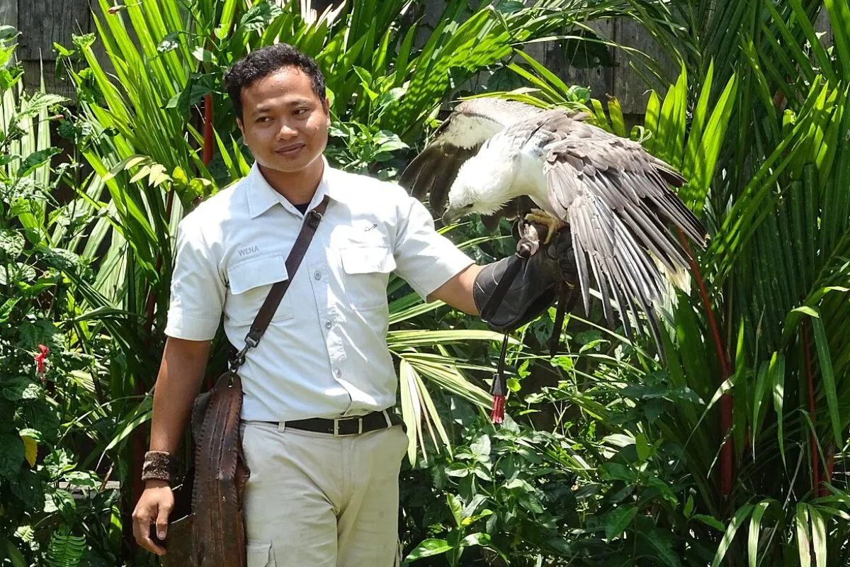 Kunjungi Bali Bird Park dan Lihat Aneka Macam Burung result