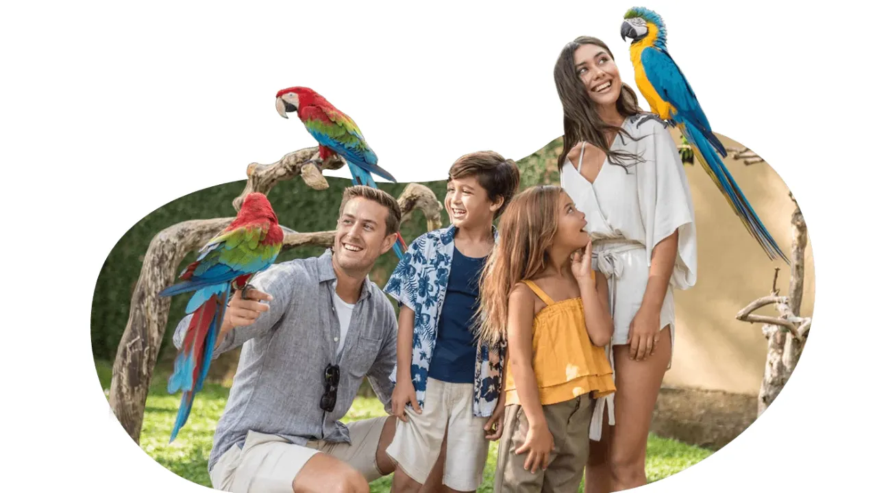 Lihat Aneka Burung Paruh Bengkok di Bali Bird Park result
