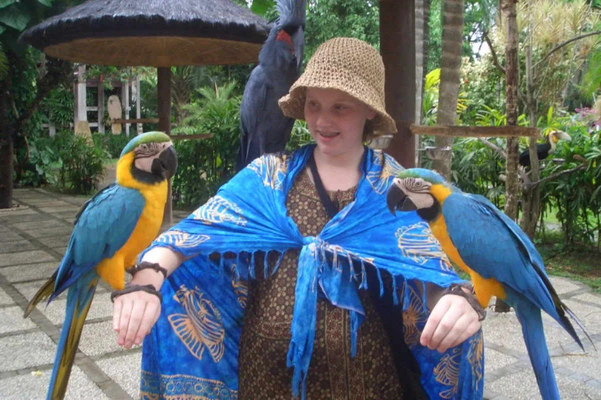 Pastikan Mengunjungi Bali Bird Park saat Liburan ke Bali result