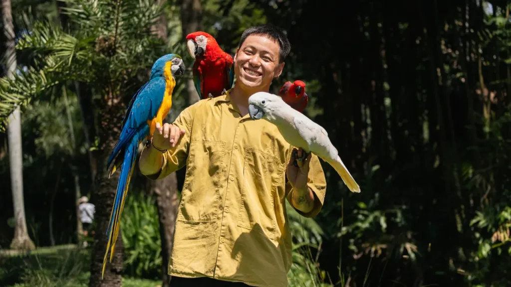 burung paruh bengkok result