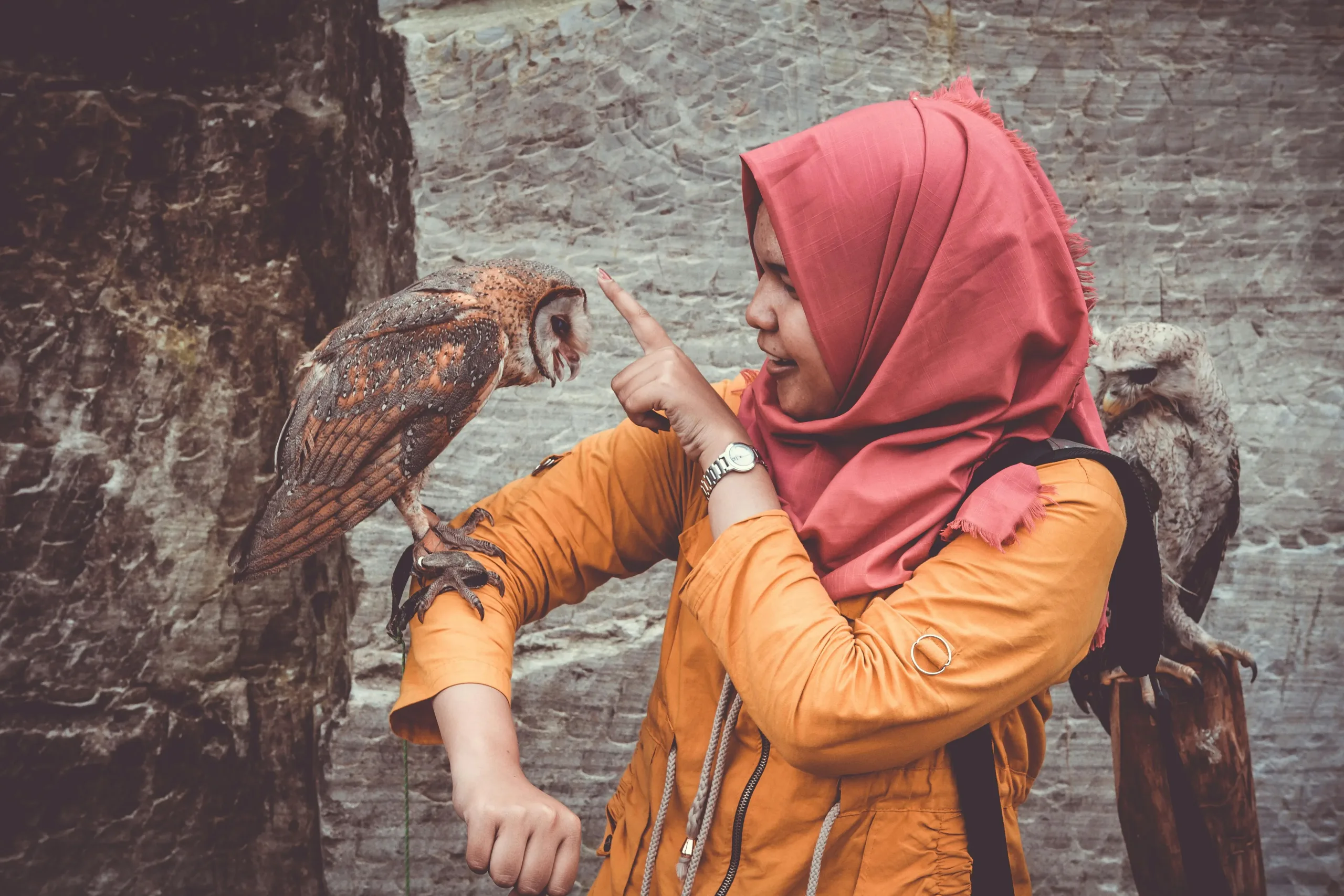 Masukkan Bali Bird Park ke Dalam Itinerary mu