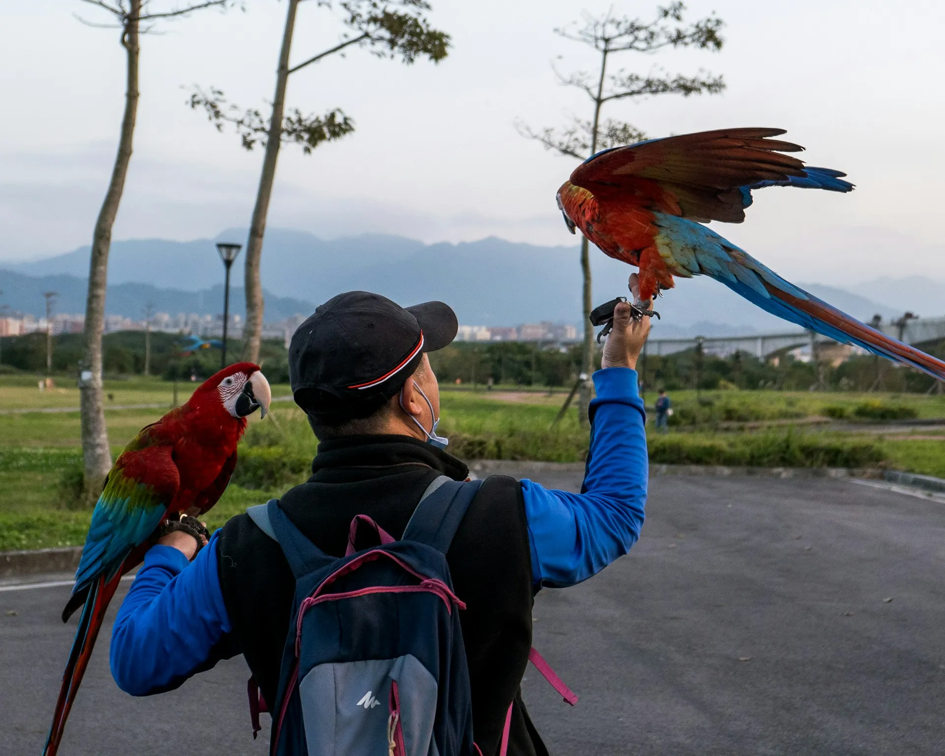 tempat study tour di Bali Bali Bird Park