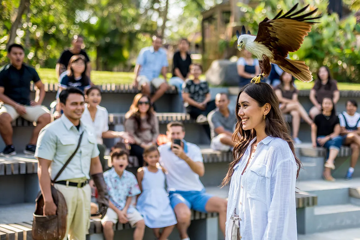 bali bird park bird show educational experience bali bird park bird show educational experience