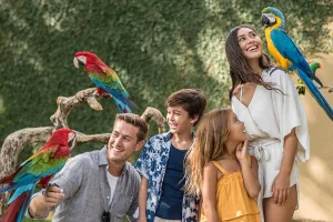 family visitor bali bird park