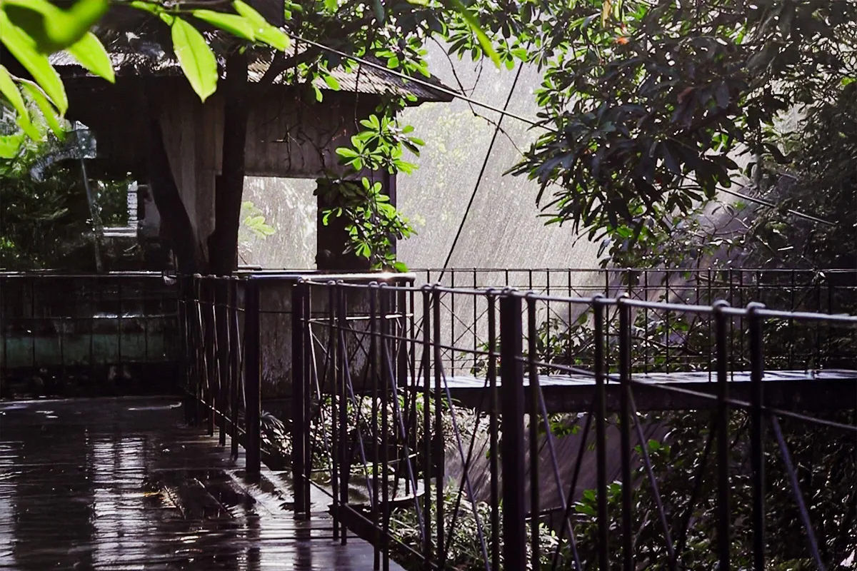papua aviary bali bird park walkway in forest papua aviary bali bird park walkway in forest