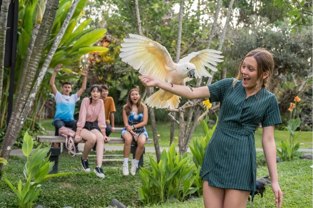 bird show at bali bird park
