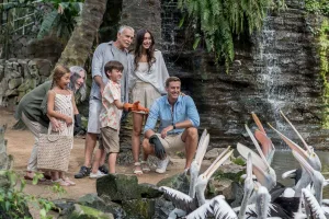 australian pelican bali bird park 1