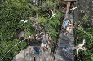 Bali Bird Park View