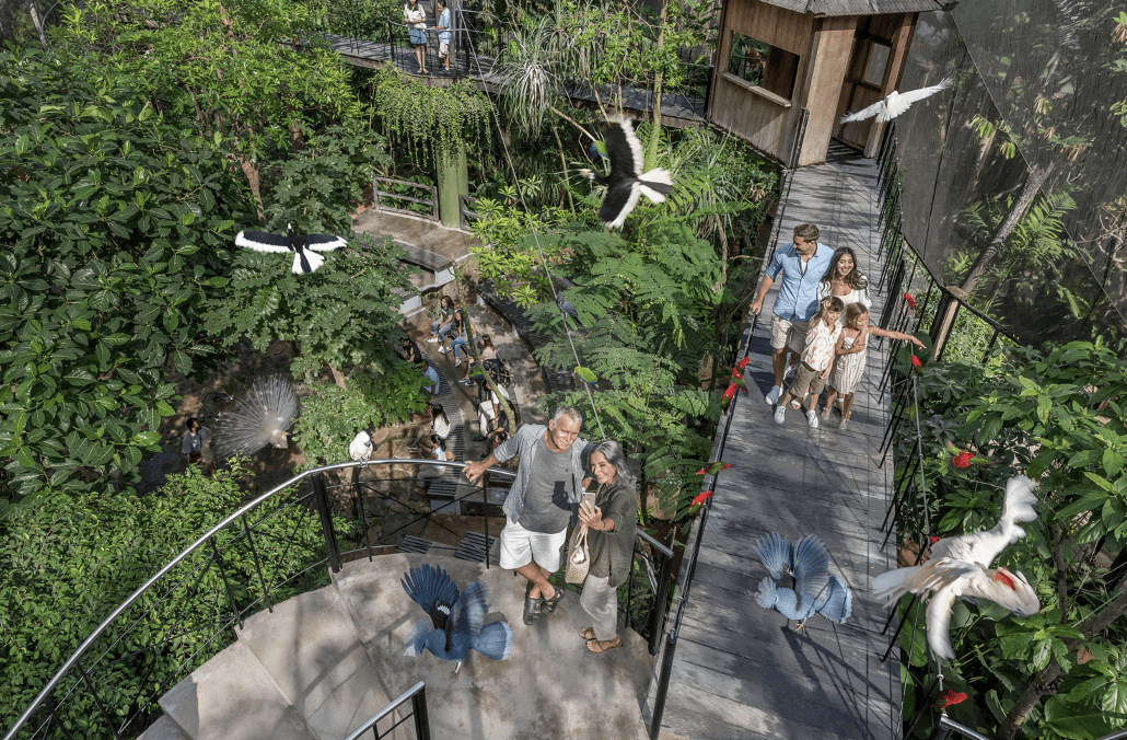 Bali Bird Park View
