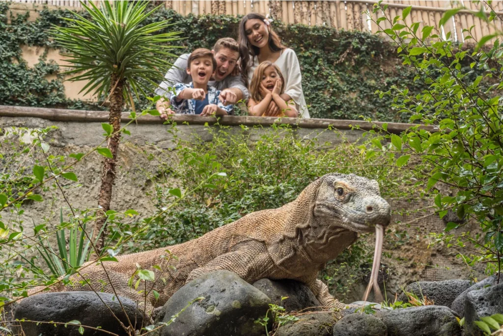 things to do near ubud at Bali Bird Park