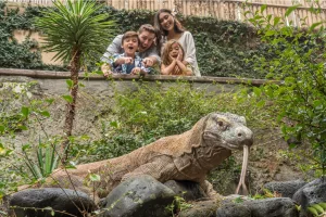 things to do near ubud at Bali Bird Park