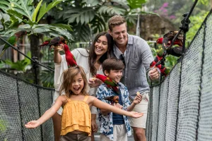 things to do near ubud at Bali Bird Park with tropical birds