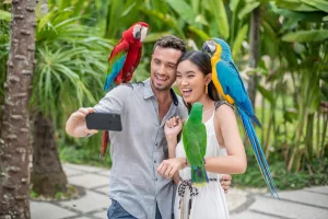 Explore Bird Diversity at Bali Bird Park
