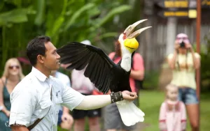 Interactive Activities at Bali Bird Park Experience