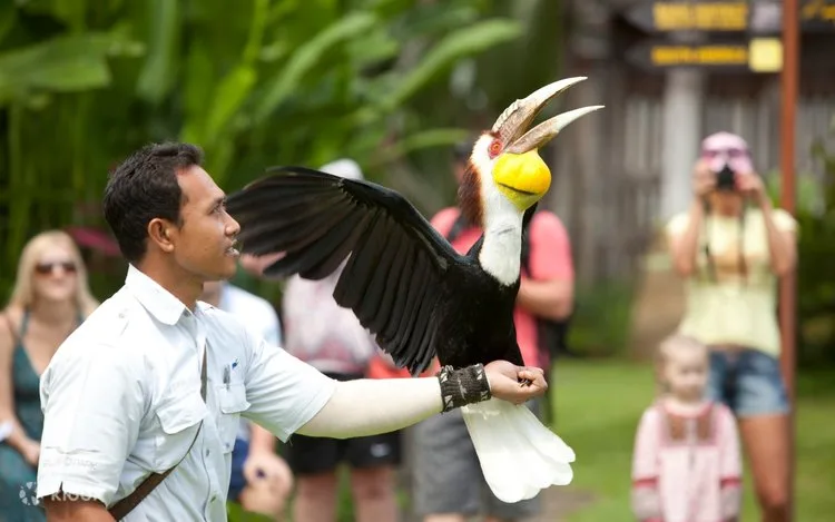Interactive Activities at Bali Bird Park Experience