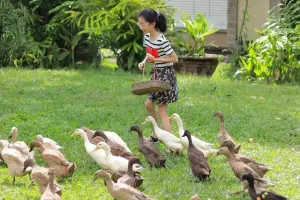 animal feeding activities Children enjoying Bali Bird Park activities