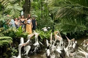 bali bird park 2 bali bird park 2
