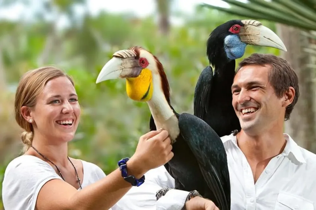 bali bird park experience