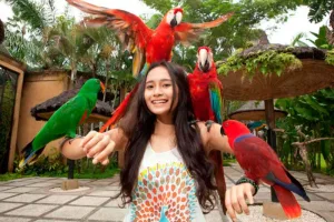 Best School Holiday Activities Best School Holiday Activities