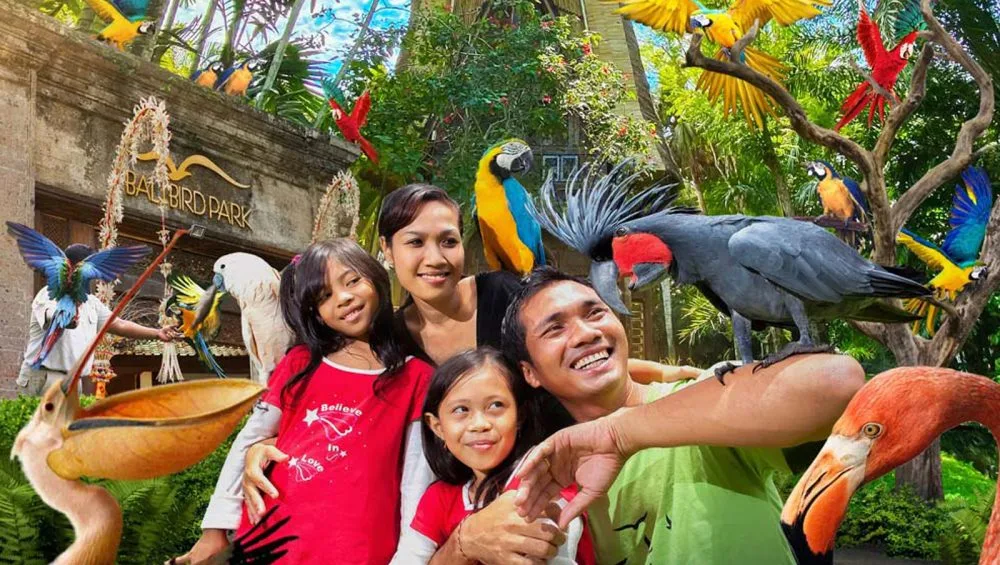 School Holiday Activities