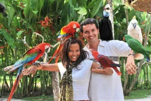 Bali Bird Park family attraction