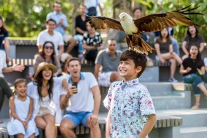 Bird conservation education Bird conservation education