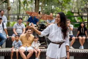 Bird education at Bali Bird Park Bird education at Bali Bird Park