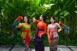 Interactive Bird Experiences Interactive Bird Experiences