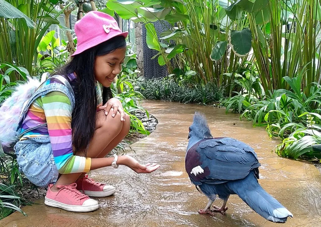 Ubud itinerary at Bali Bird Park