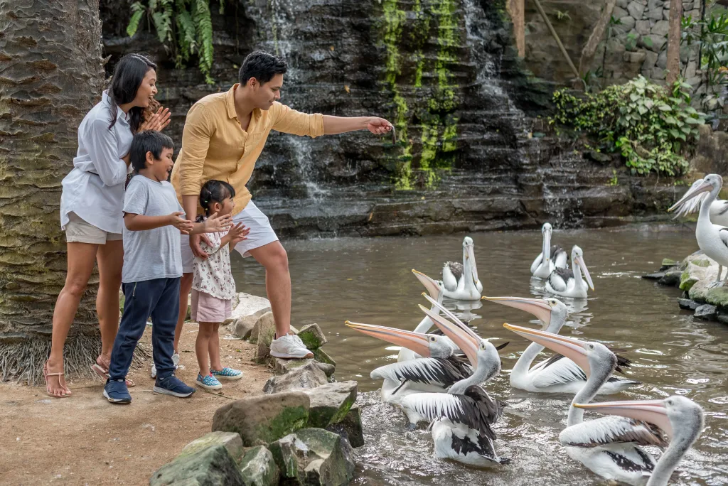 Wild Encounter at Bali Bird Park
