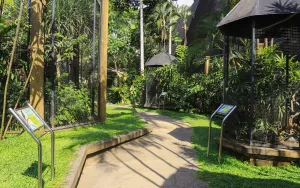 tropical gardens