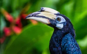 wildlife experience Bali Bird Park wildlife experience Bali Bird Park
