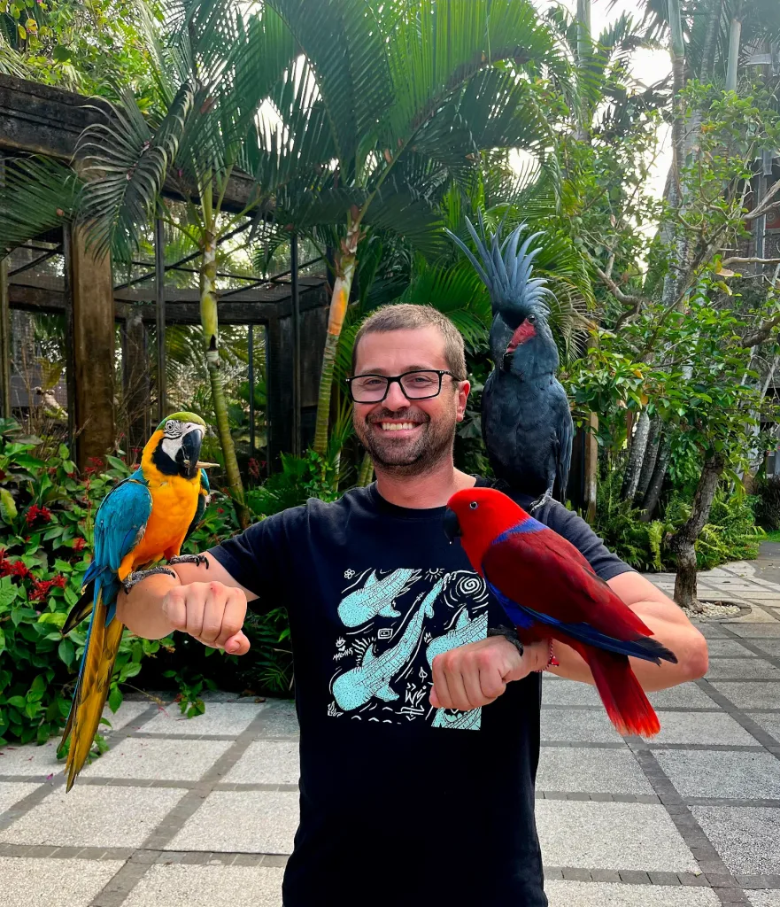 Bird Experience